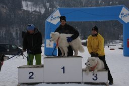 Lenk 2012 SM
